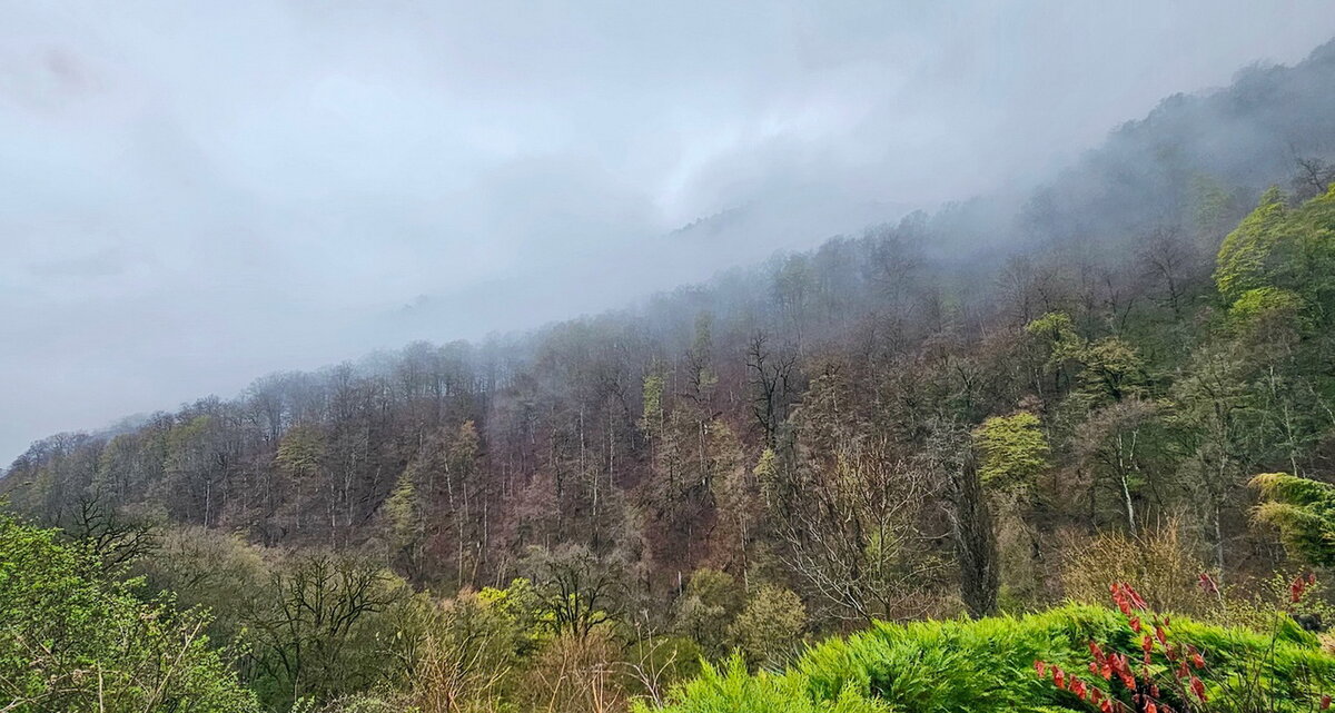 Долина Иджеванского хребта - Михаил Свиденцов Долина Иджеванского хребта - Михаил Свиденцов