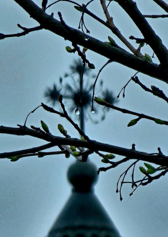 Монастырь Агарцин. - Михаил Свиденцов