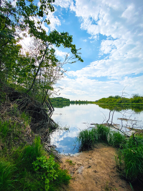 *** - Игорь Чичиль