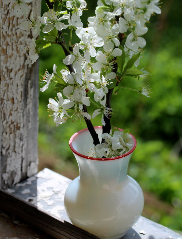 Натюрморт! - жанна нечаева