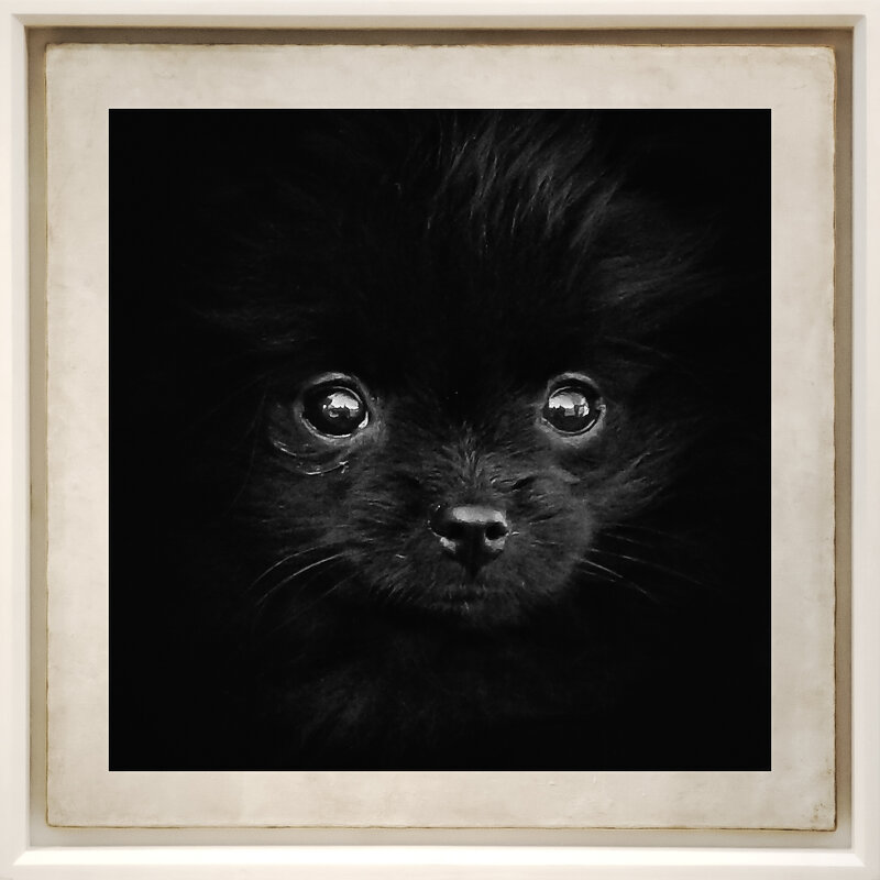 Черный квадрат - Игорь Викторов