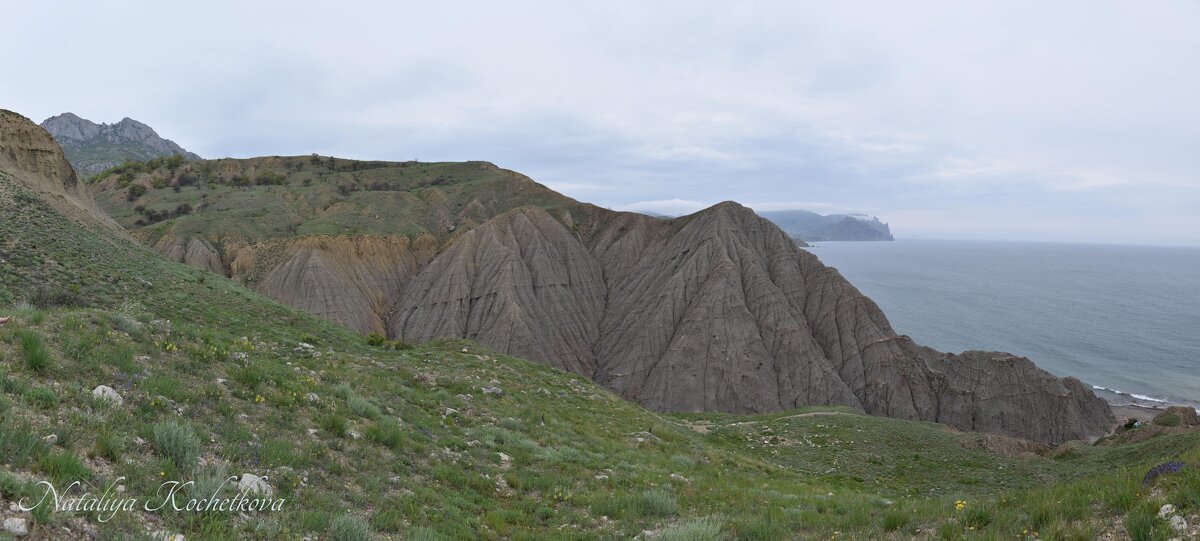 Природа Крыма - Amazing Cosmea Природа Крыма - Amazing Cosmea