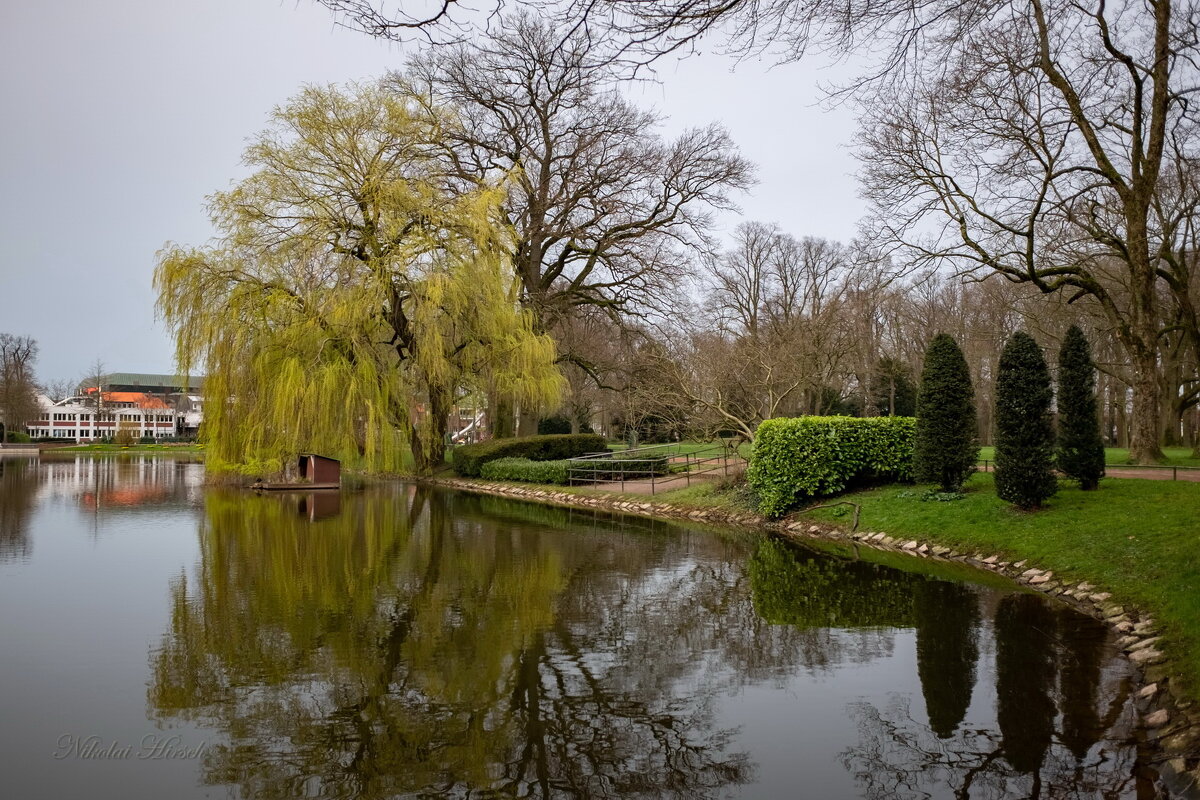 Пейзаж с ивой... - Николай Гирш