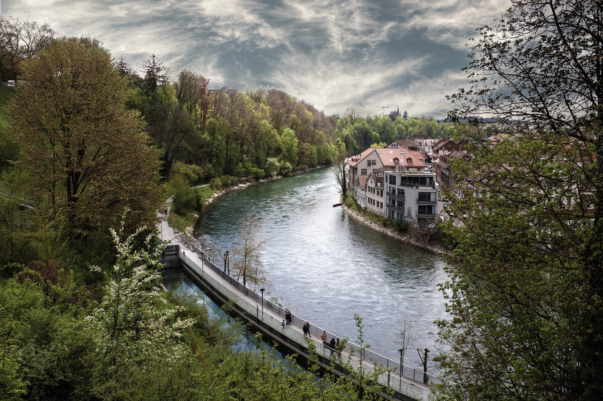 ** - Александр Липовецкий