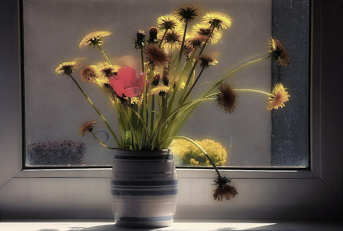 Одуванчики на подоконнике.... - Владимир Шошин Одуванчики на подоконнике.... - Владимир Шошин