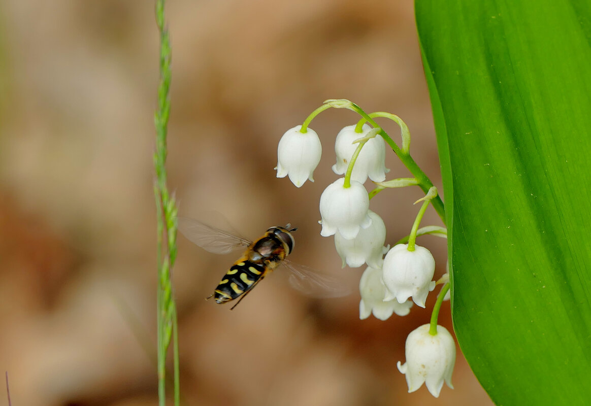 из сегодняшней съемки 4 - Александр Прокудин из сегодняшней съемки 4 - Александр Прокудин