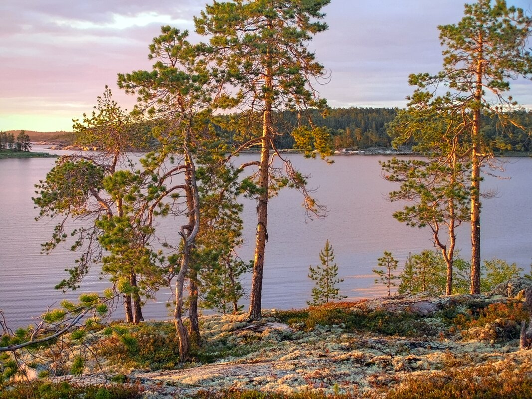 Беломорье - Andy Беломорье - Andy