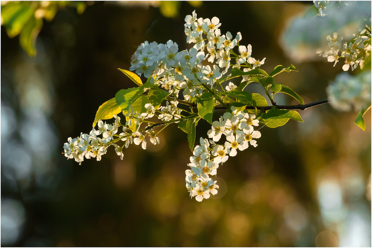 На закате майского дня - Валентин Котляров На закате майского дня - Валентин Котляров
