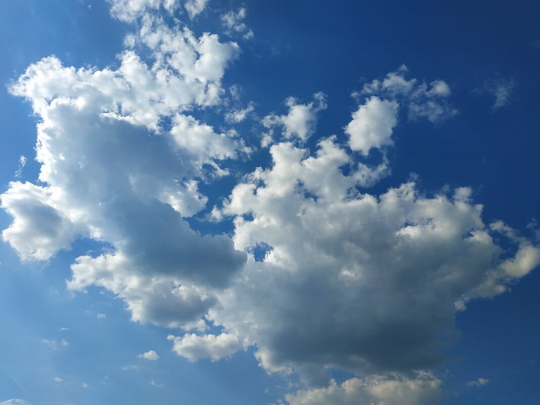 Плывут! - Андрей Лукьянов Плывут! - Андрей Лукьянов