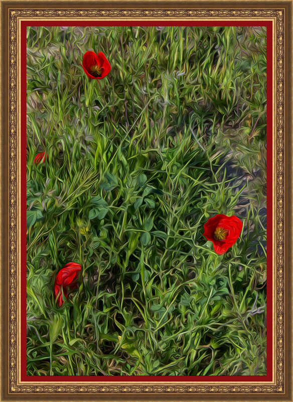 Маки - Анатолий Чикчирный Маки - Анатолий Чикчирный