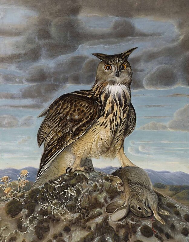 История-13 - irina Schwarzer 