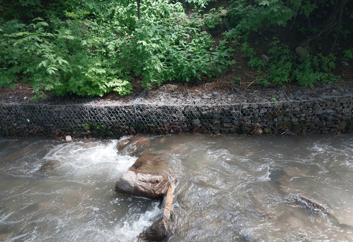 Almaty. - Murat Bukaev 