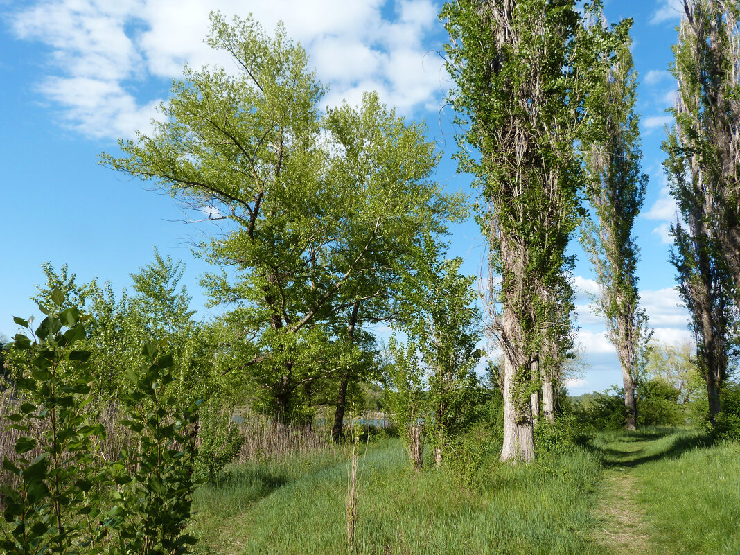 Природа Крыма - Валентин Семчишин Природа Крыма - Валентин Семчишин