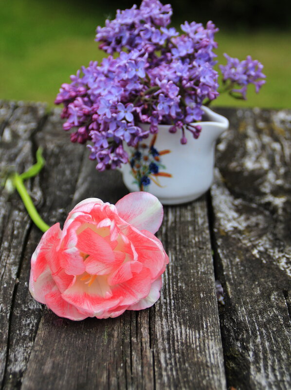 Ароматненько :) - Татьян@ Ивановна Ароматненько :) - Татьян@ Ивановна