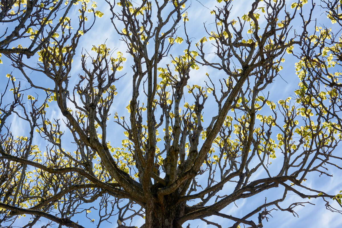 Tallinn, Fotograaf Arkadi Baranov, FEP, Estonia - Аркадий Баранов Arkadi Baranov Tallinn, Fotograaf Arkadi Baranov, FEP, Estonia - Аркадий Баранов Arkadi Baranov