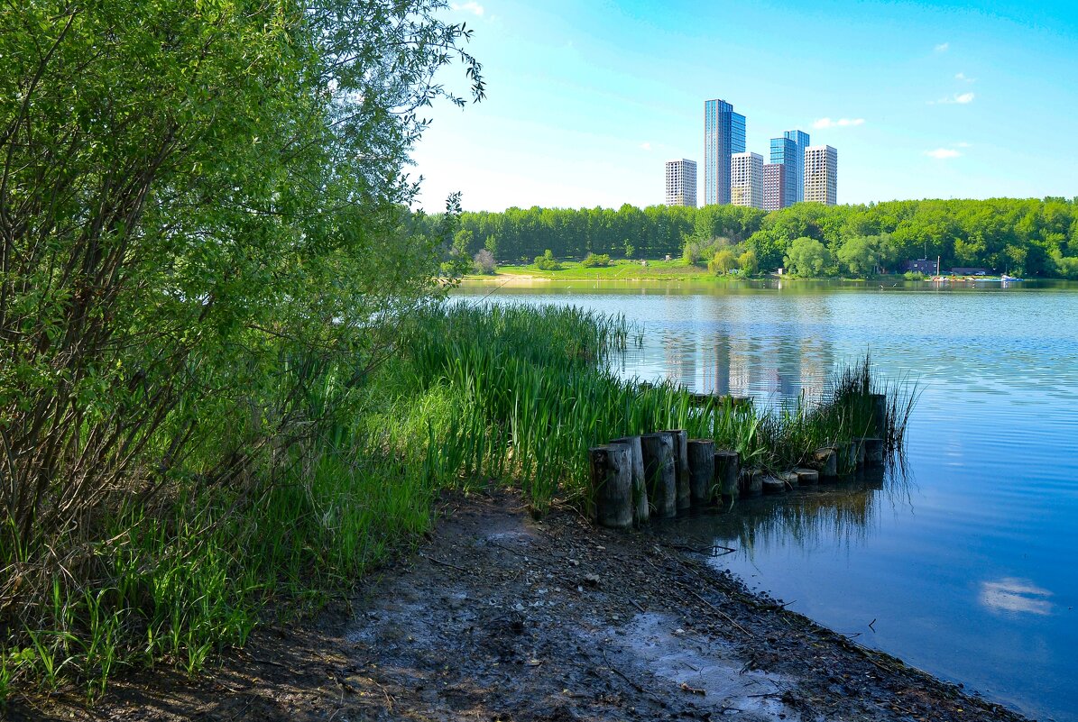 Пруд - Oleg4618 Шутченко