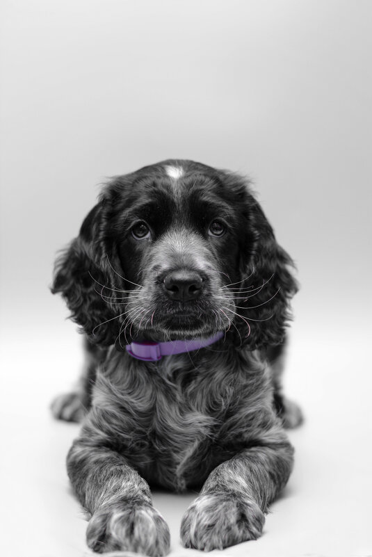 Джек - Вячеслав Дроздов