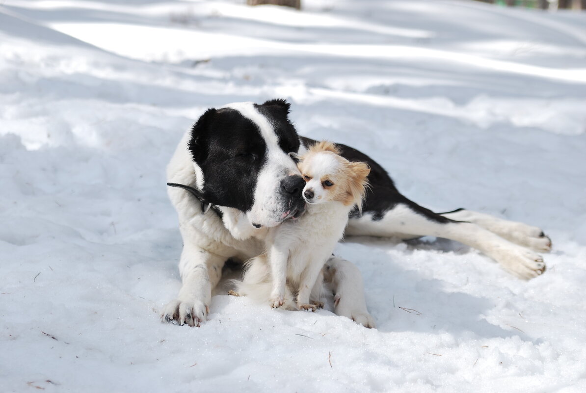 Подруги.Размер не имеет значения:) - Рудаков Сергей Подруги.Размер не имеет значения:) - Рудаков Сергей