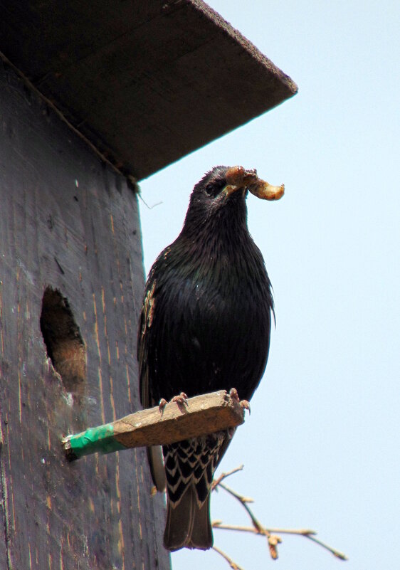 Всё лучшее -детям ! - nadyasilyuk Вознюк Всё лучшее -детям ! - nadyasilyuk Вознюк