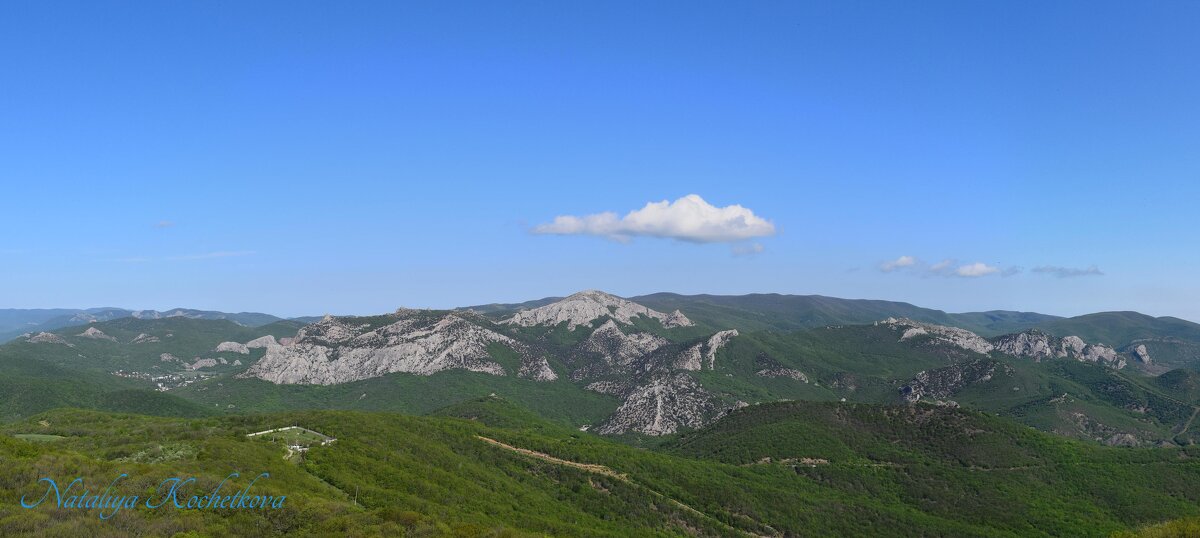 Природа Крыма - Amazing Cosmea Природа Крыма - Amazing Cosmea