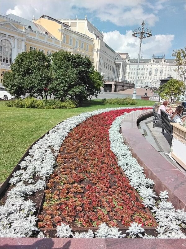 Цветник на Театральной - Дмитрий Никитин