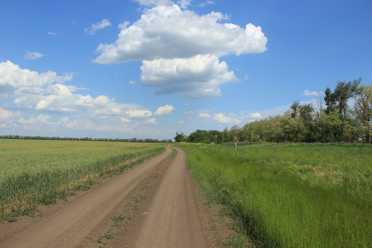 Мои дороги. - Виктор 