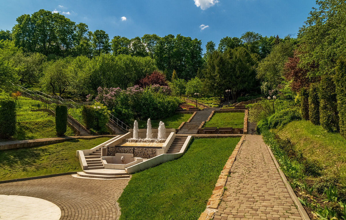 Владимир Май 2025 2 - Андрей Дворников