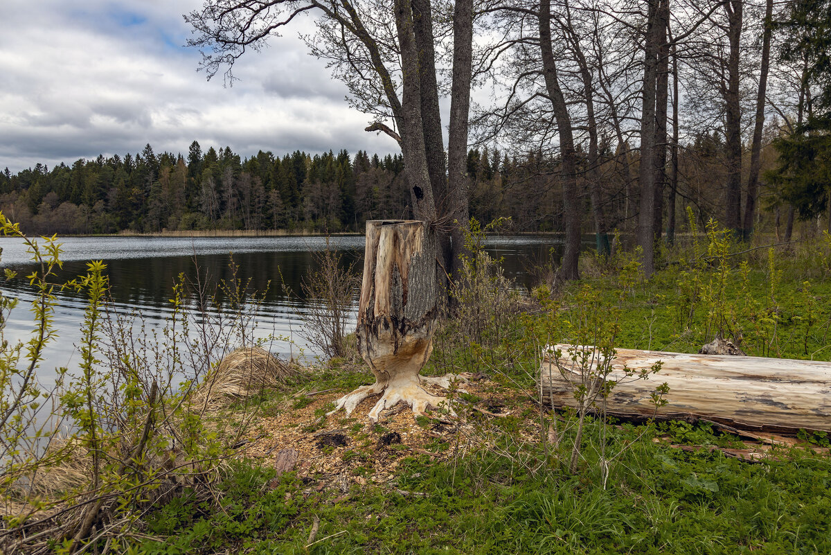 Хорошая работа. - Yuri Chudnovetz