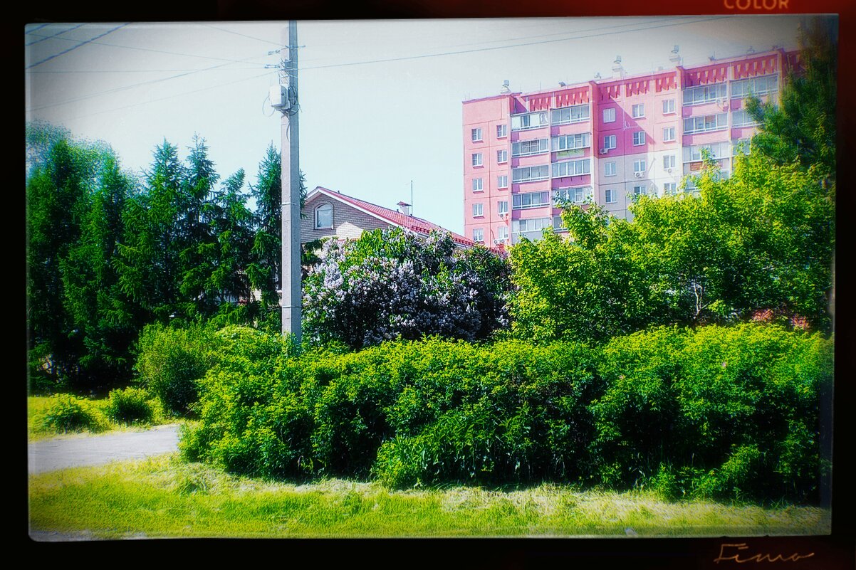 Летний май. - Игорь Солдаткин