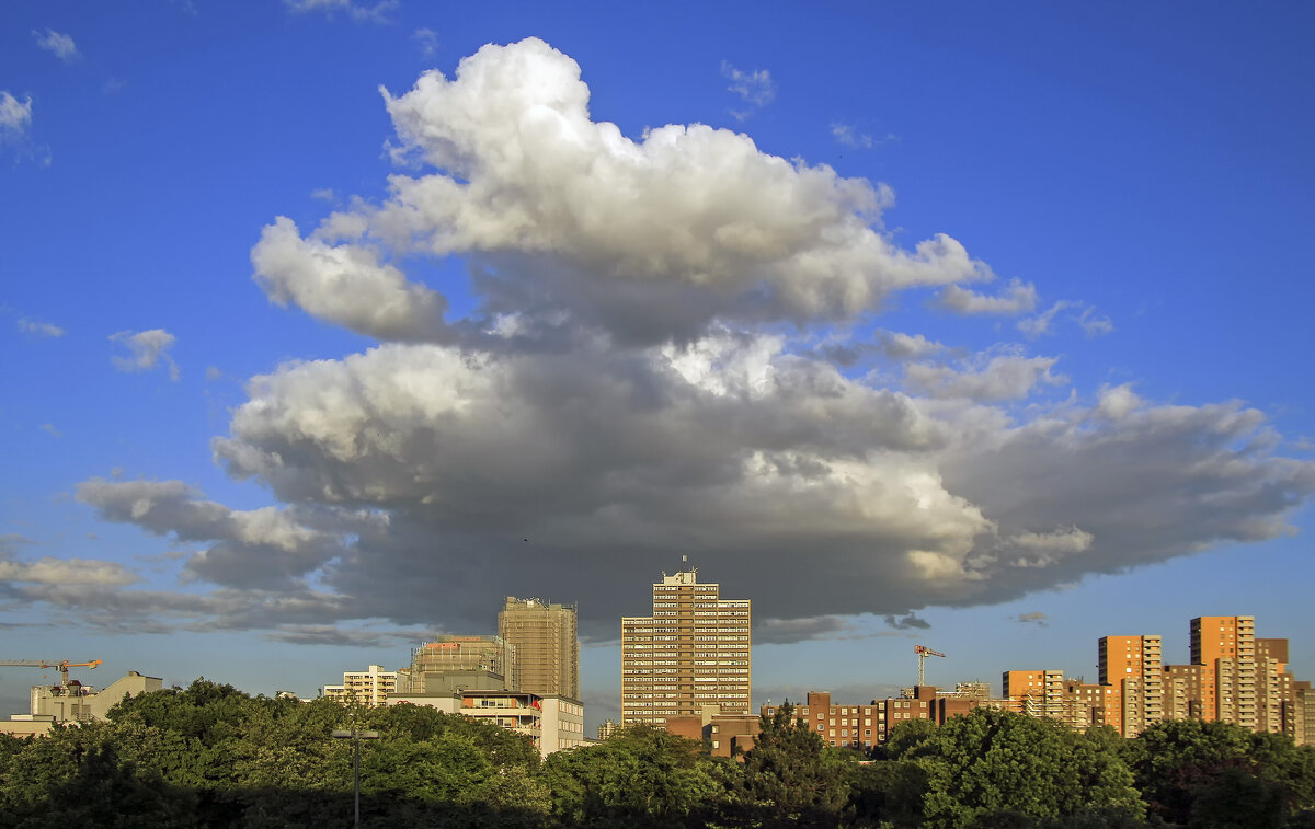 Покрывало - Андроник Александр Покрывало - Андроник Александр