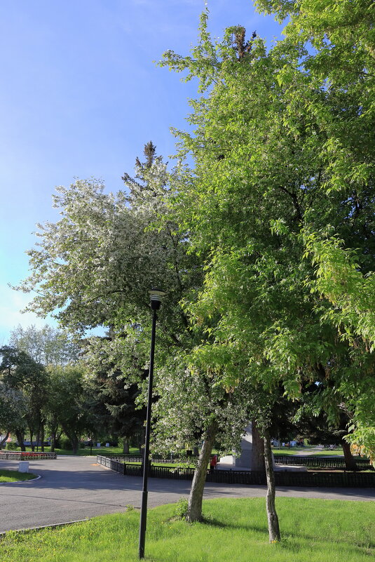 *** - Александр Николаев