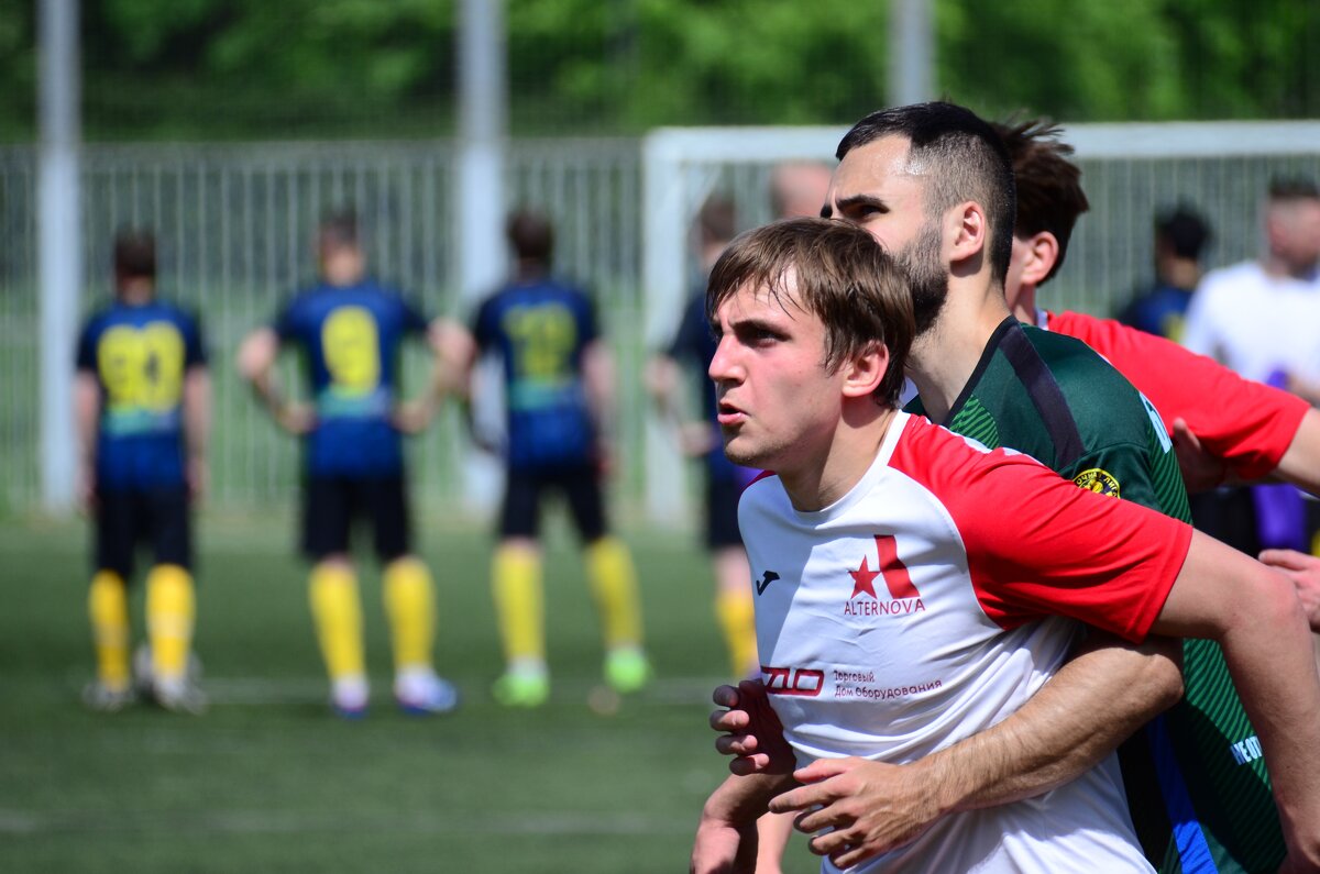 *** - Наталья Вязигина