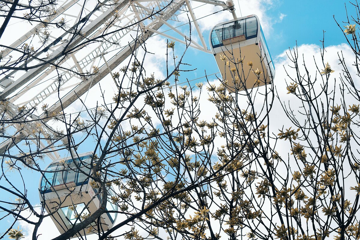 С прозрачным полом 5 кабин. - Татьяна Помогалова