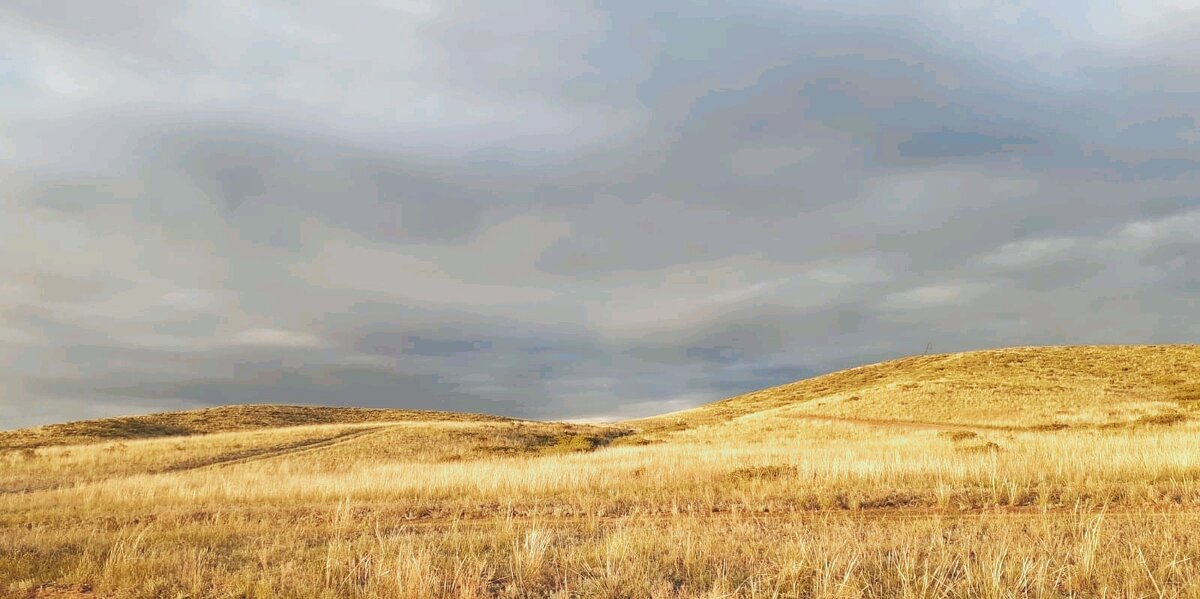 Гроза приближается - Георгиевич 