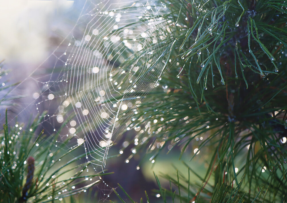 Этюды мая - Галина Ильясова