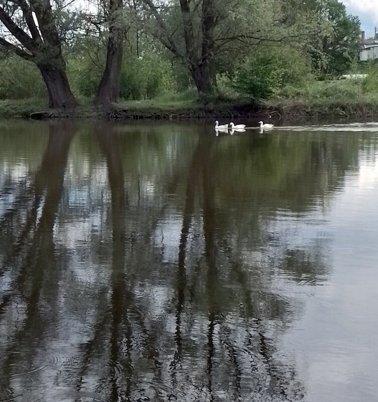 *** - Валентина Береснева