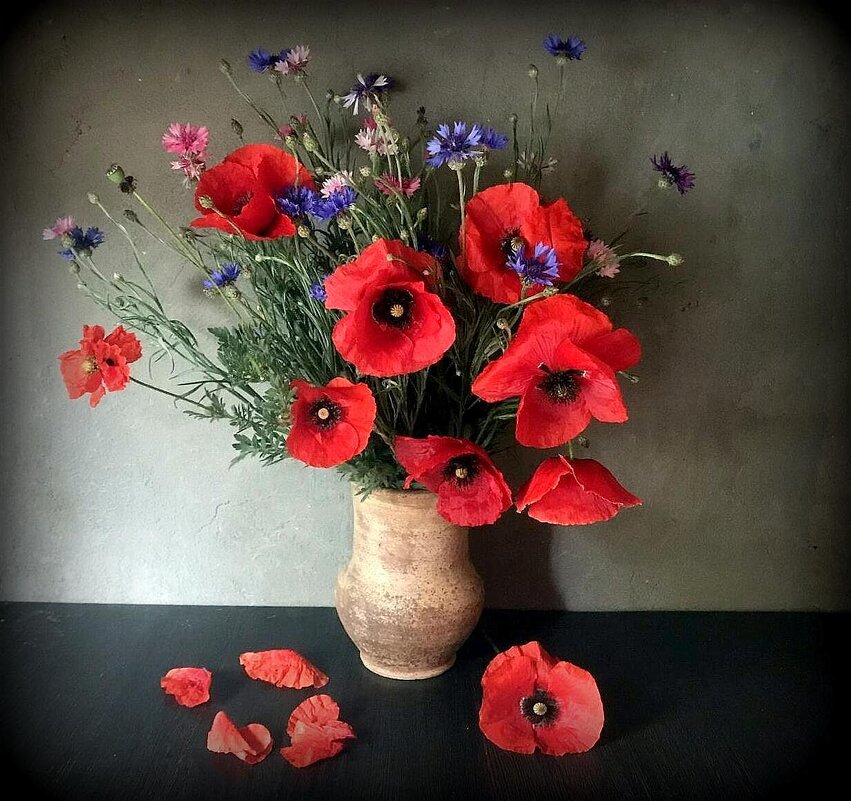 Маки...Васильки.. - TAMARA КАДАНОВА Маки...Васильки.. - TAMARA КАДАНОВА