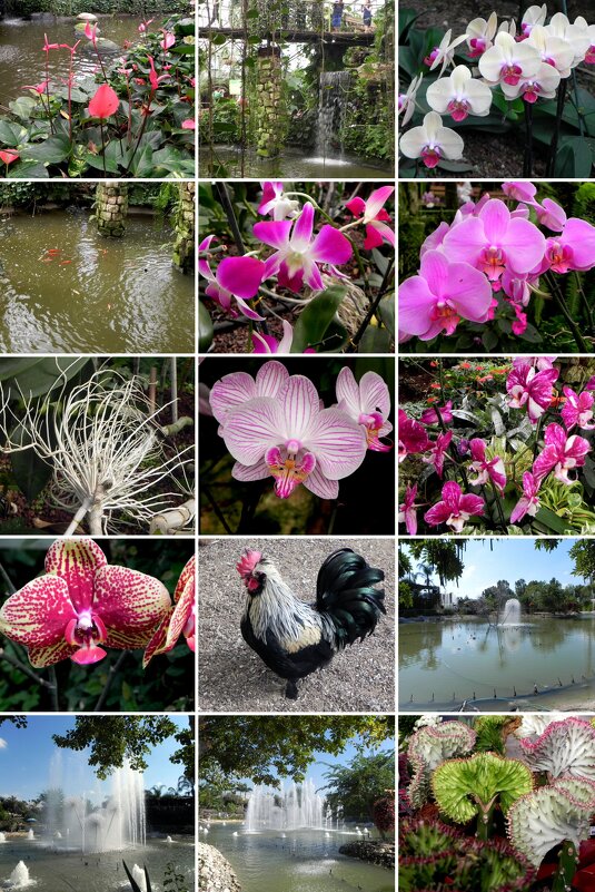 Коллаж по моим фотографиям - Светлана Хращевская Коллаж по моим фотографиям - Светлана Хращевская