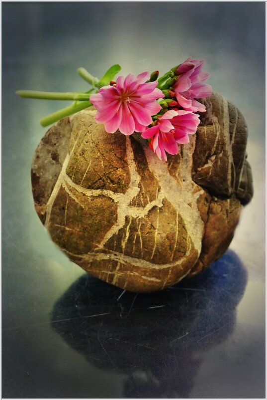 СЮРПРИЗ... - Elvira E. СЮРПРИЗ... - Elvira E.