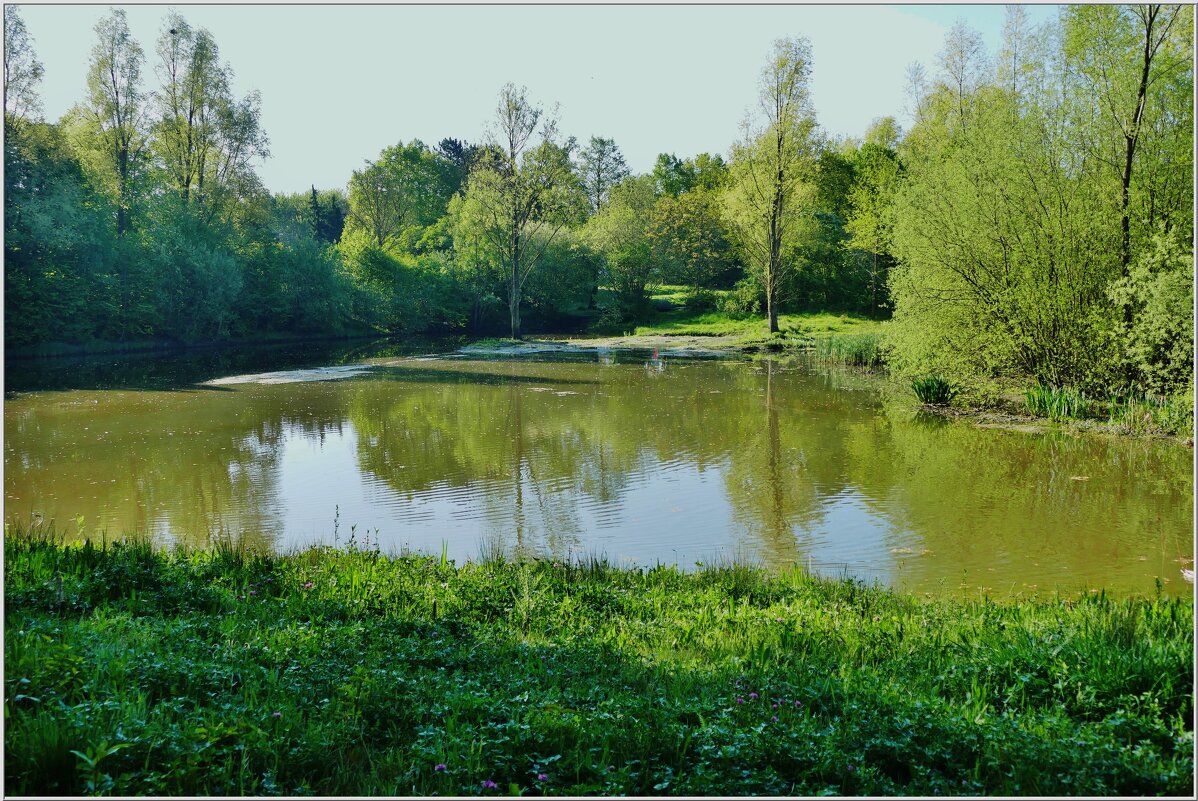 У ОЗЕРА... - Elvira E. 