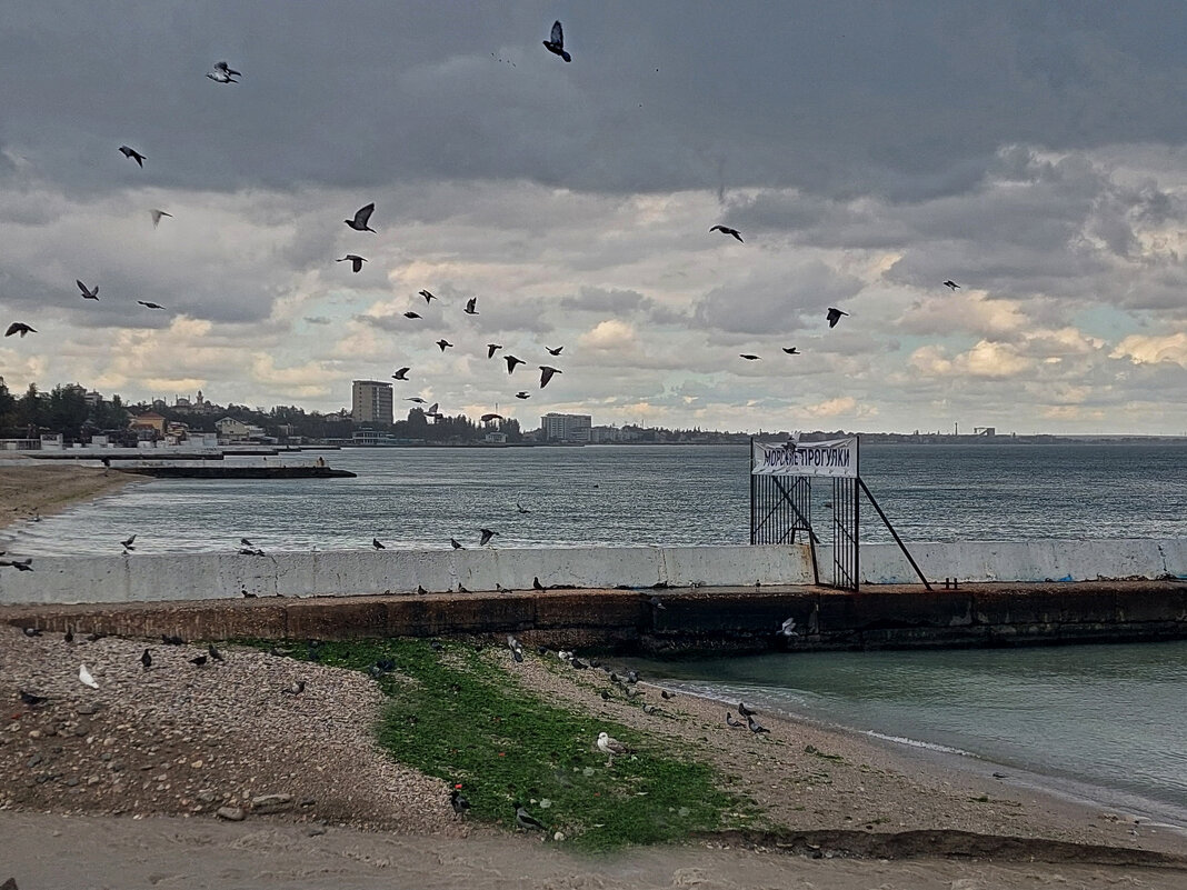 Прогулка по Феодосии - ИРЭН@ . Прогулка по Феодосии - ИРЭН@ .