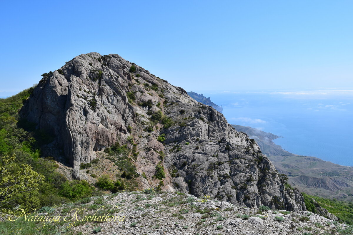 Природа Крыма - Amazing Cosmea