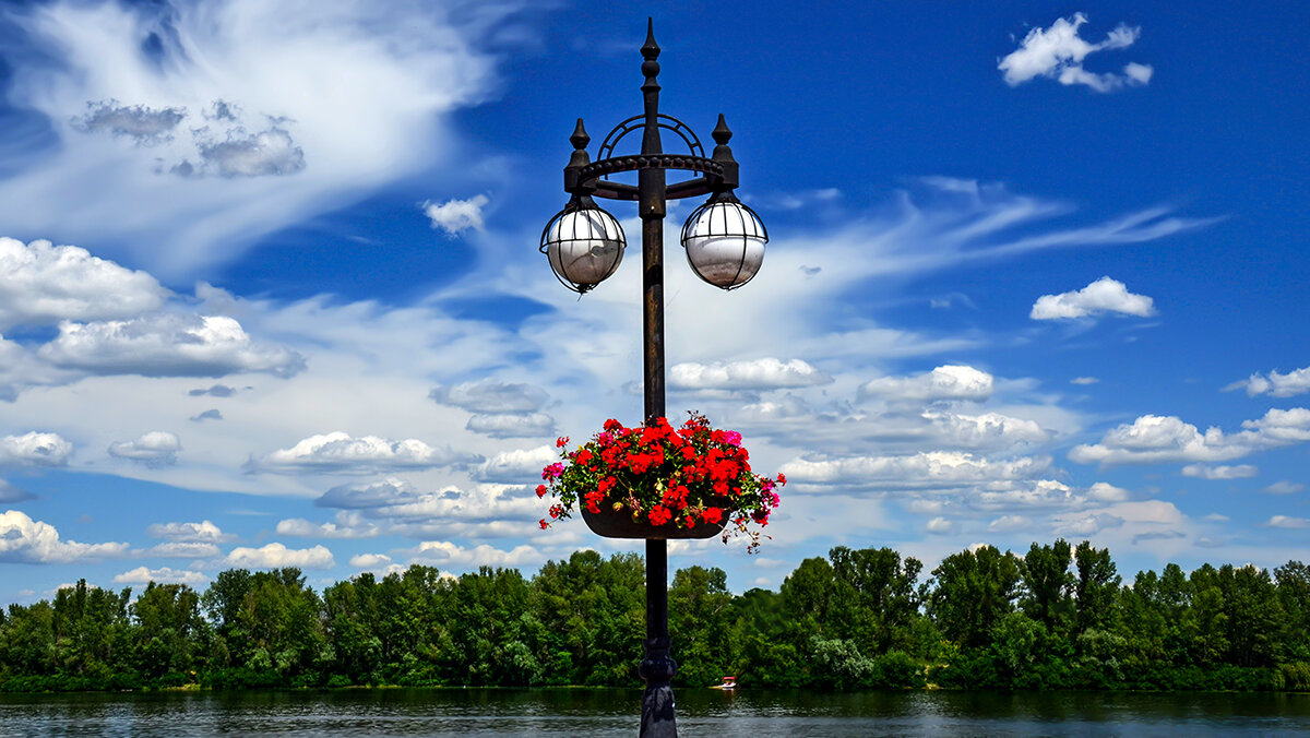 "Вымпел" на счастье - Alexandеr P