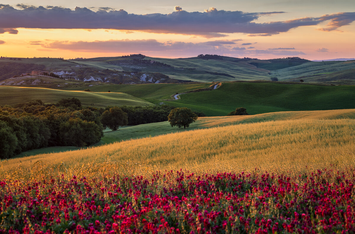 Майский пейзаж - Алекс Римский Майский пейзаж - Алекс Римский