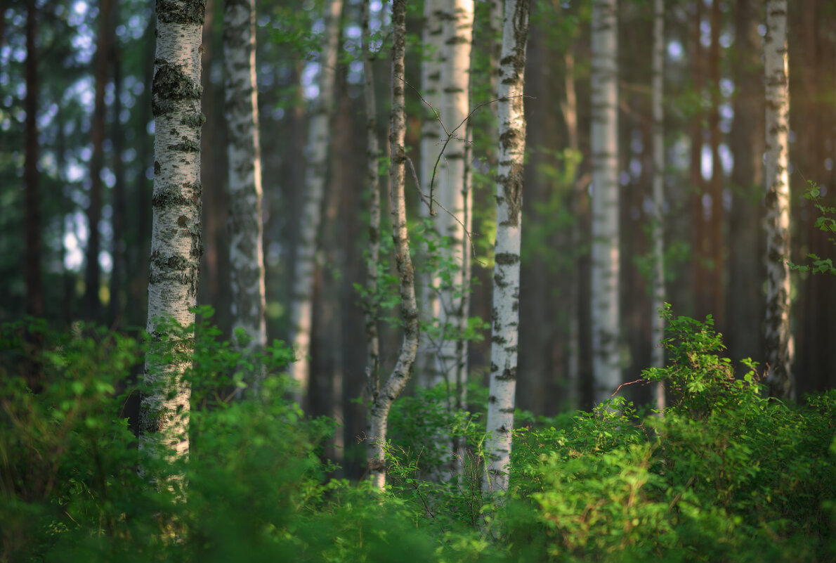 * - Александр Иванов