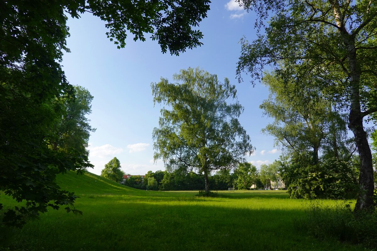 Я смотрел, как плывут облака весны уходящей - вдаль они уплыли…...Кагава Кагэки - Галина 