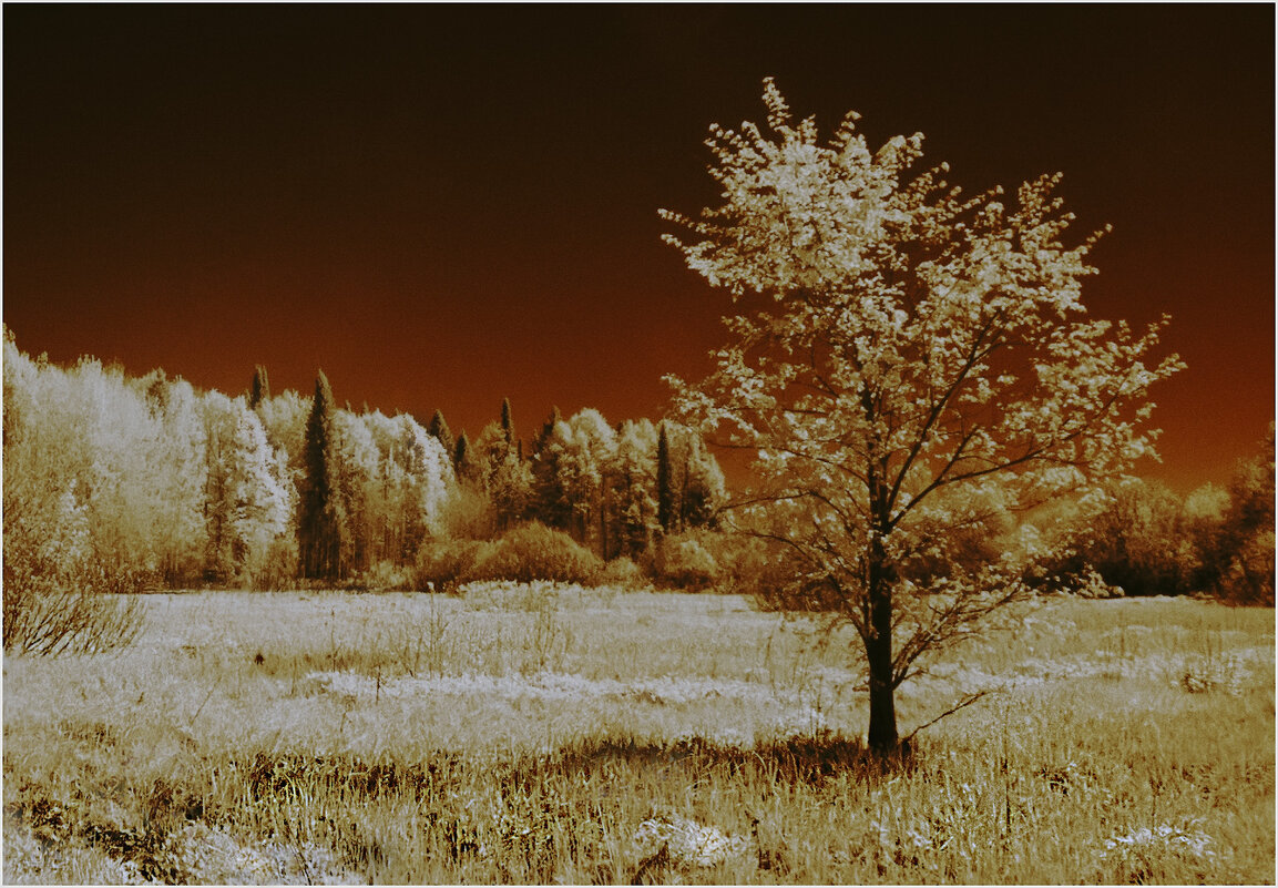 Инфракрасная фантазия ( IR720nm) - Валентин Котляров