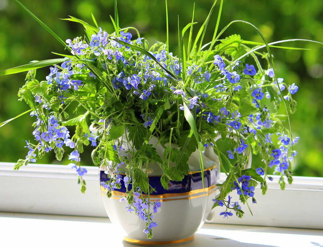 Натюрморт. - жанна нечаева