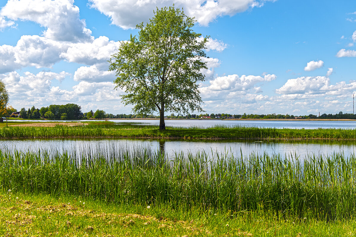 В одиночестве - Roman Ilnytskyi В одиночестве - Roman Ilnytskyi