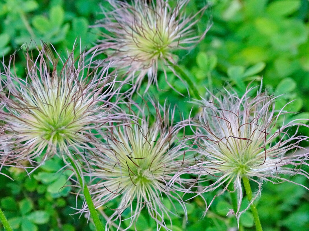 Прострел - Павел Трунцев